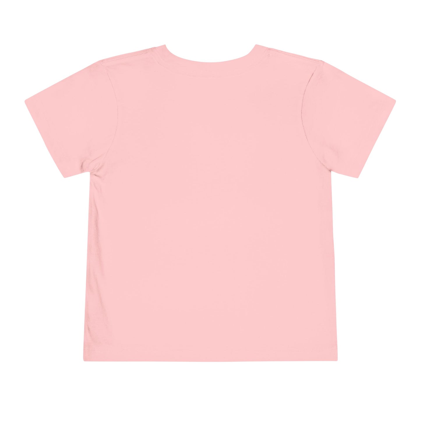 Watermelon Collection - Toddler T-Shirt