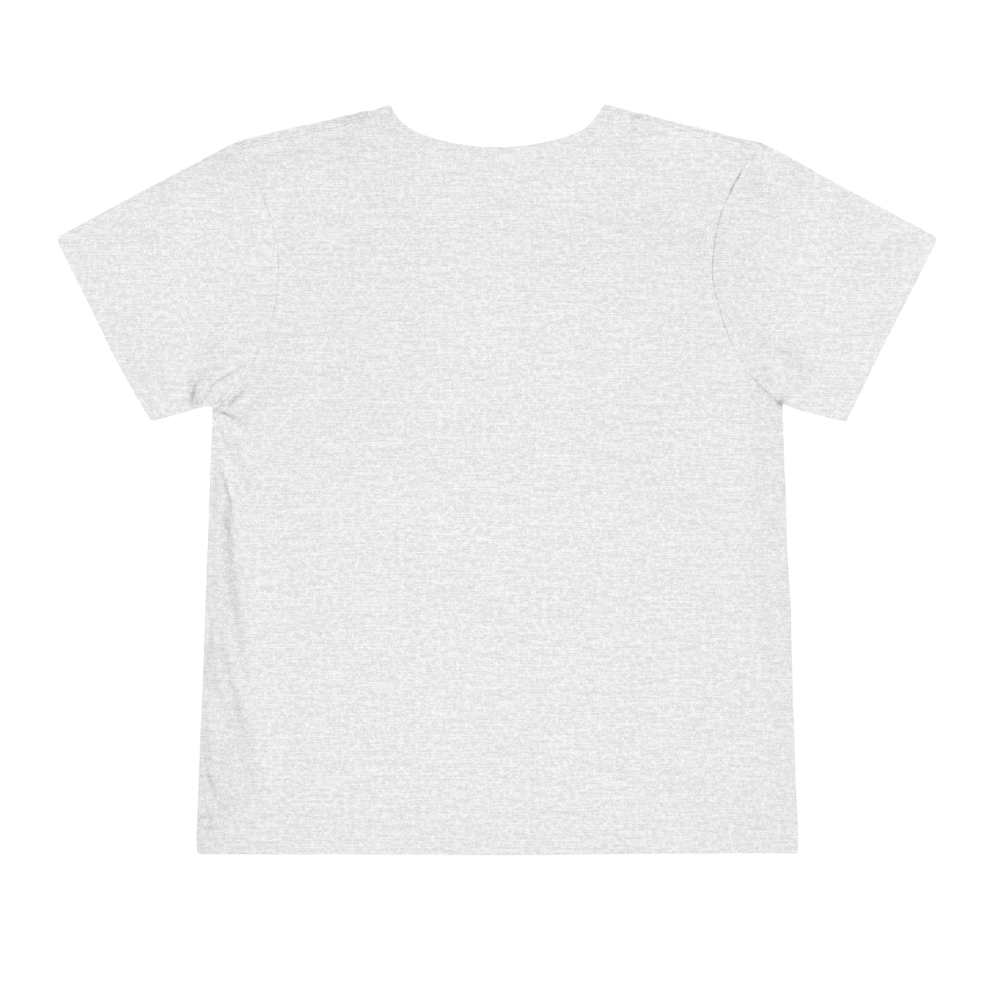 Watermelon Collection - Toddler T-Shirt