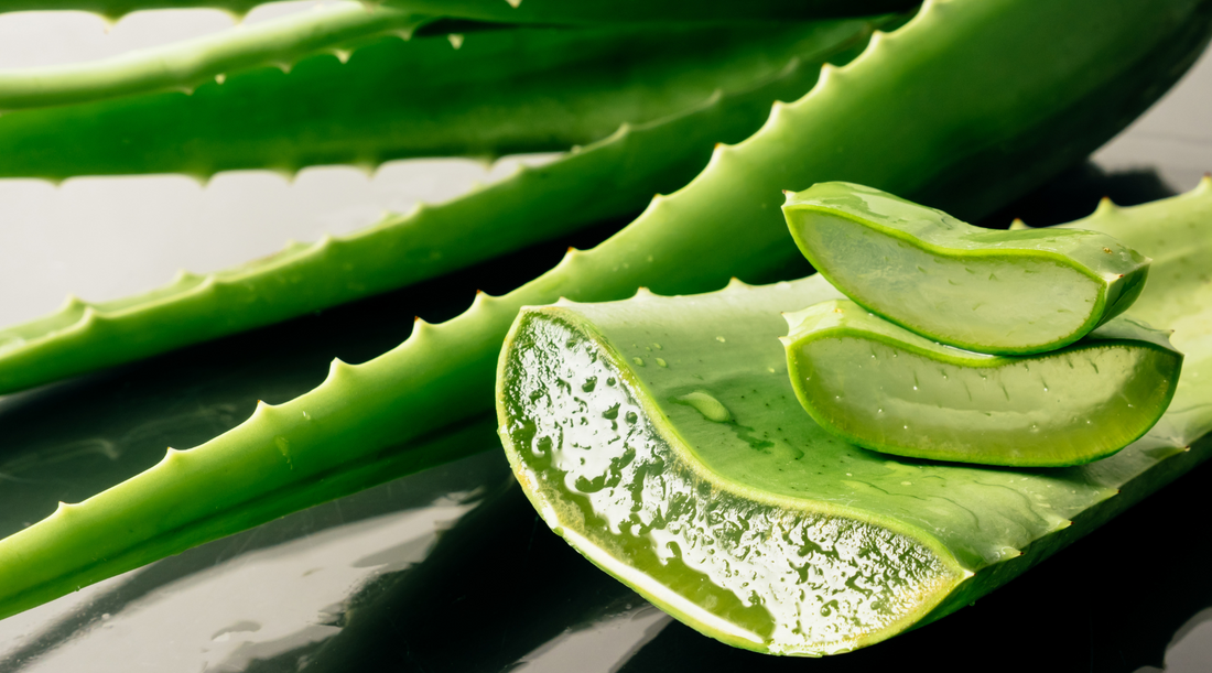 Natural Sunburn Relief with Aloe Vera and Olive Oil Soap: The Ultimate At-Home Remedy