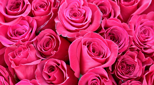 Glow with Nature: Discover the Magic of Our Rose Oil & Olive Oil Soap