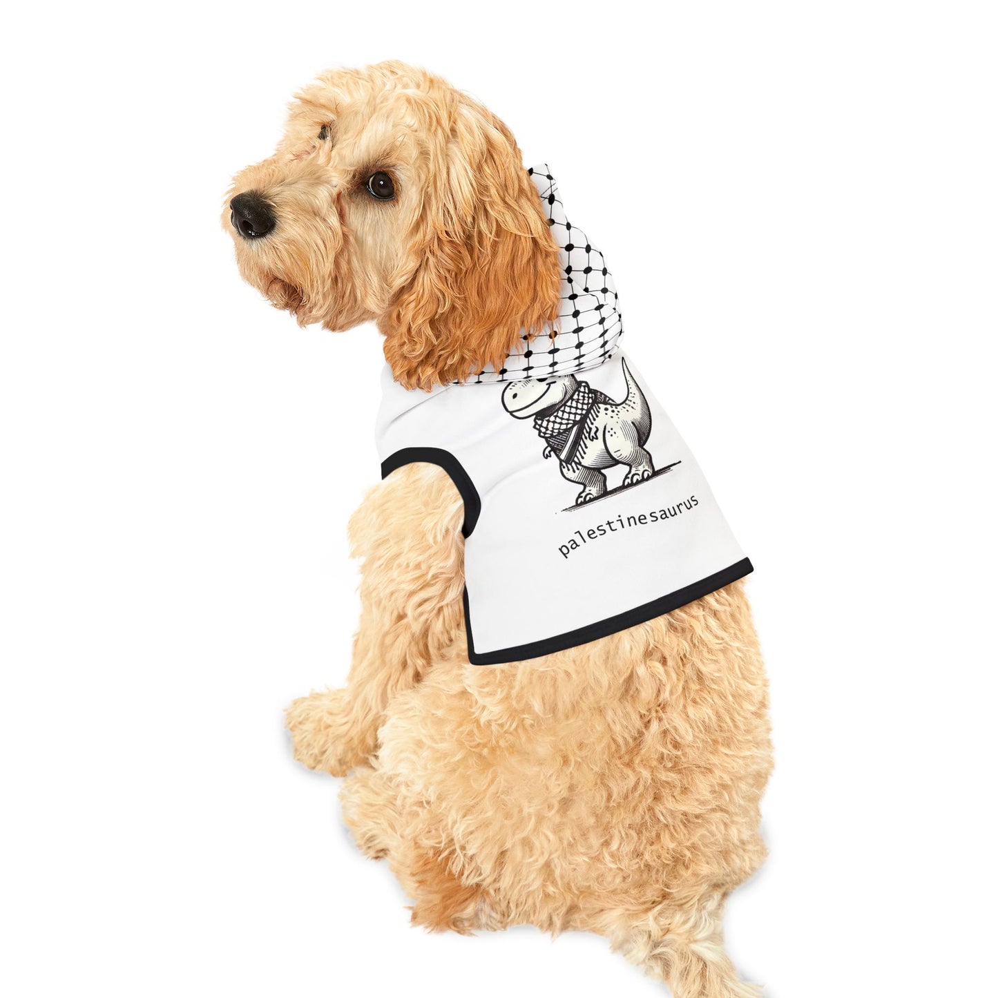 Pet Hoodie - Palestinesaurus