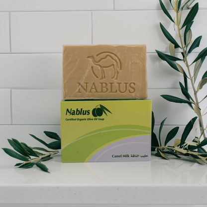 Camel milk and olive oil soap made by nablus soap company standing on top of its packaging with olive branches around it