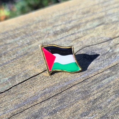 palestine flag enamel pin on wooden background